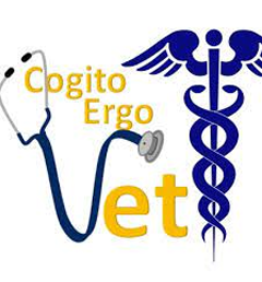 logo-02
